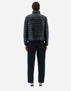Herno Bomber Jacket In Gloss